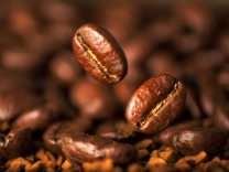 GCORPS ROASTED SPECIALTY COFFEE